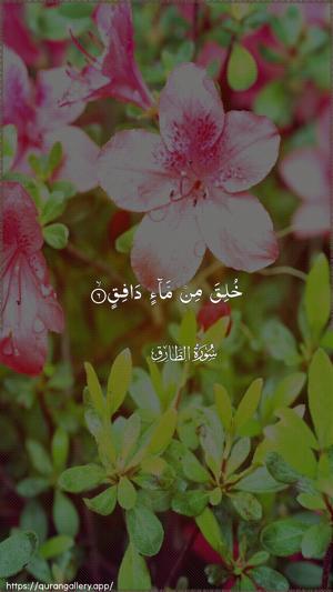 At-Taariq Ayah 6 - Arabic wallpaper