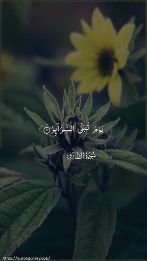 At-Taariq Ayah 9 - Arabic wallpaper