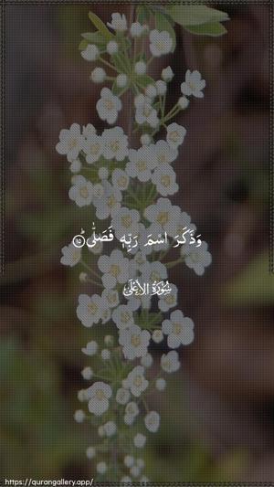 Al-A"laa Ayah 15 - Arabic wallpaper