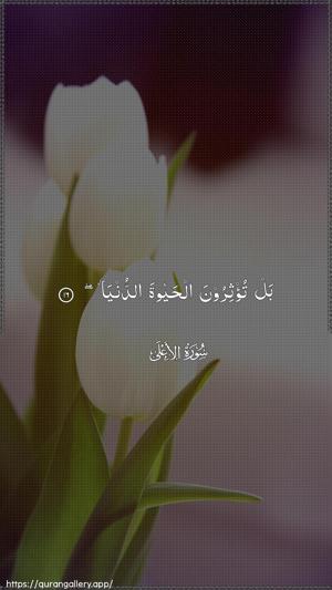 Al-A"laa Ayah 16 - Arabic wallpaper