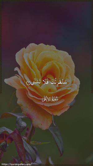 Al-A"laa Ayah 6 - Arabic wallpaper