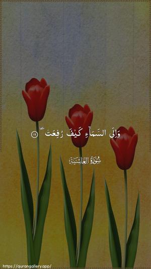 Al-Ghaashiya Ayah 18 - Arabic wallpaper