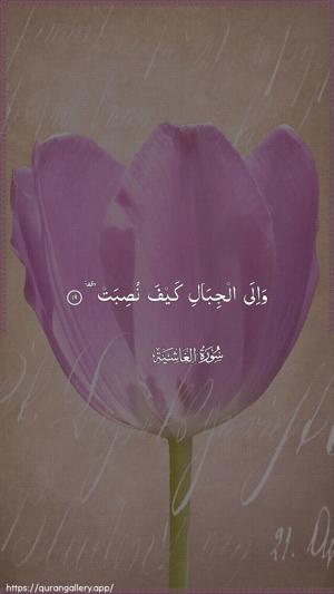 Al-Ghaashiya Ayah 19 - Arabic wallpaper