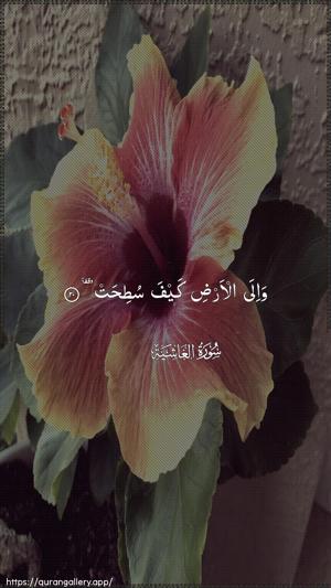 Al-Ghaashiya Ayah 20 - Arabic wallpaper
