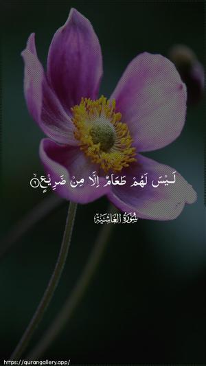 Al-Ghaashiya Ayah 6 - Arabic wallpaper