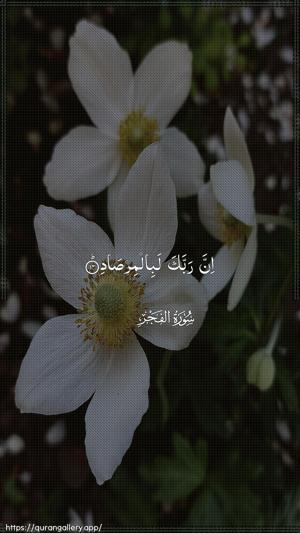 Al-Fajr Ayah 14 - Arabic wallpaper