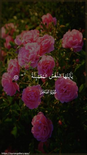 Al-Fajr Ayah 27 - Arabic wallpaper