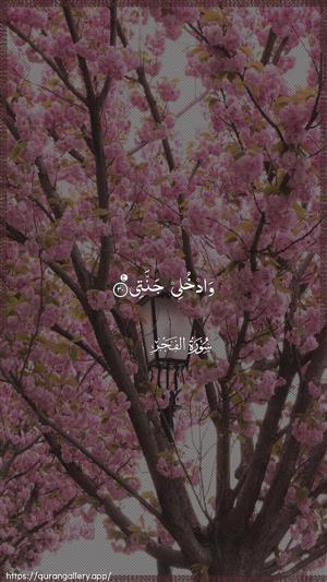 Al-Fajr Ayah 30 - Arabic wallpaper