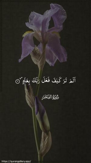 Al-Fajr Ayah 6 - Arabic wallpaper