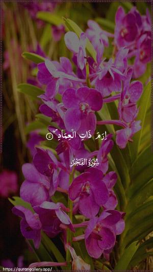 Al-Fajr Ayah 7 - Arabic wallpaper
