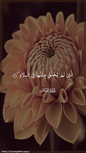 Al-Fajr Ayah 8 - Arabic wallpaper