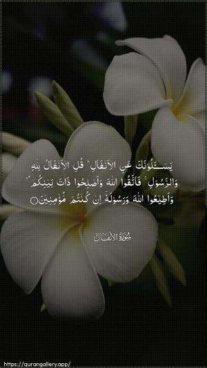 Al-Anfaal Ayah 1 - Arabic wallpaper