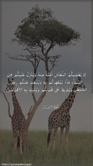Al-Anfaal Ayah 11 - Arabic wallpaper
