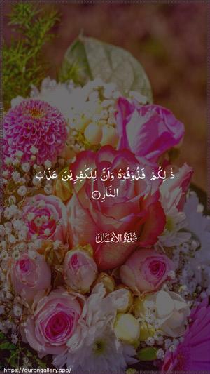 Al-Anfaal Ayah 14 - Arabic wallpaper