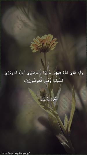 Al-Anfaal Ayah 23 - Arabic wallpaper