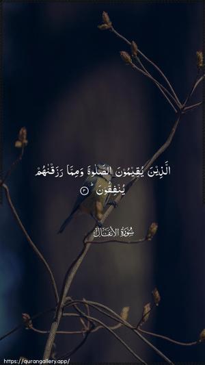 Al-Anfaal Ayah 3 - Arabic wallpaper