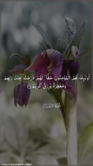 Al-Anfaal Ayah 4 - Arabic wallpaper