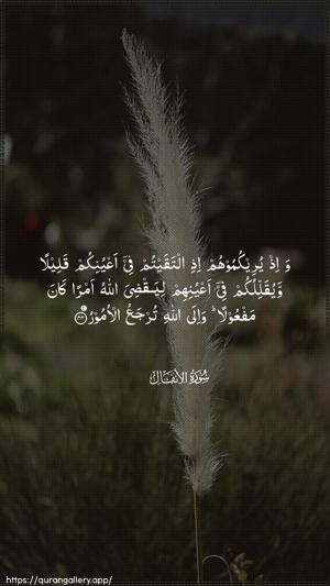 Al-Anfaal Ayah 44 - Arabic wallpaper