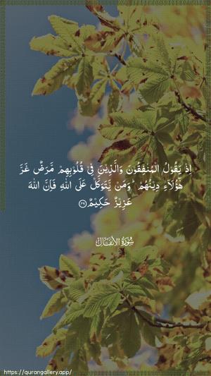 Al-Anfaal Ayah 49 - Arabic wallpaper