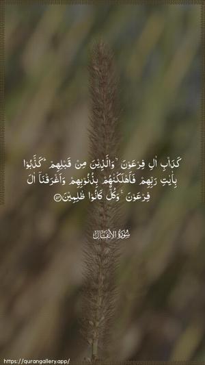 Al-Anfaal Ayah 54 - Arabic wallpaper