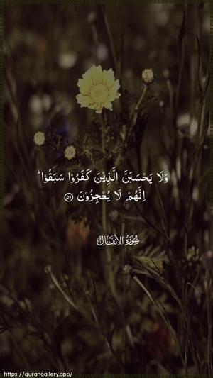 Al-Anfaal Ayah 59 - Arabic wallpaper