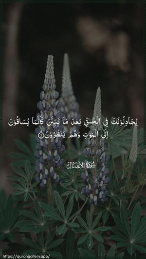 Al-Anfaal Ayah 6 - Arabic wallpaper