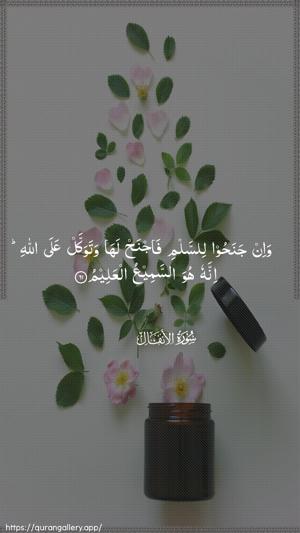 Al-Anfaal Ayah 61 - Arabic wallpaper