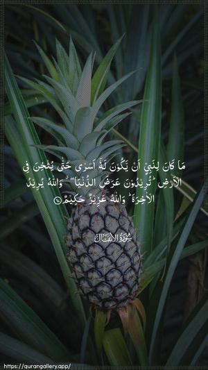Al-Anfaal Ayah 67 - Arabic wallpaper