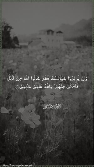 Al-Anfaal Ayah 71 - Arabic wallpaper