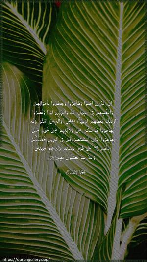Al-Anfaal Ayah 72 - Arabic wallpaper