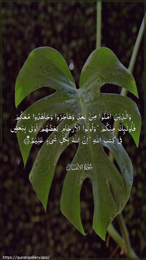 Al-Anfaal Ayah 75 - Arabic wallpaper