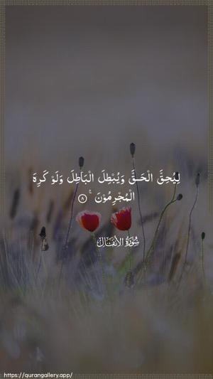 Al-Anfaal Ayah 8 - Arabic wallpaper