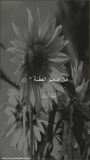 Al-Balad Ayah 11 - Arabic wallpaper