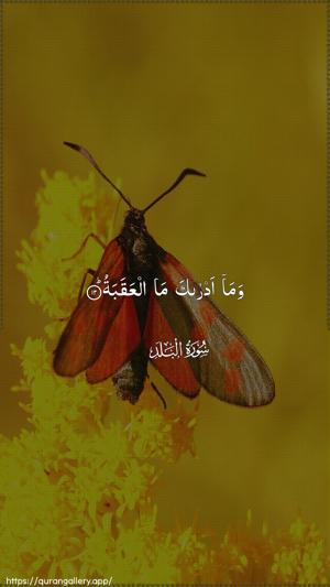 Al-Balad Ayah 12 - Arabic wallpaper