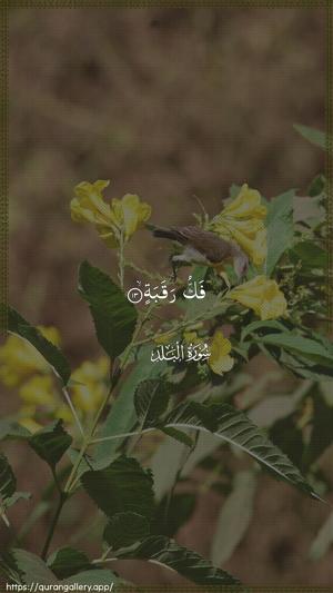 Al-Balad Ayah 13 - Arabic wallpaper