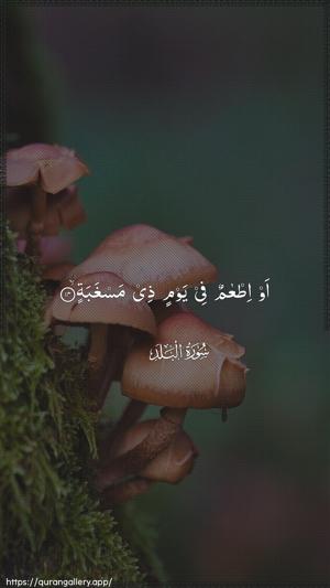 Al-Balad Ayah 14 - Arabic wallpaper