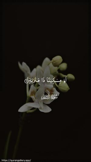 Al-Balad Ayah 16 - Arabic wallpaper