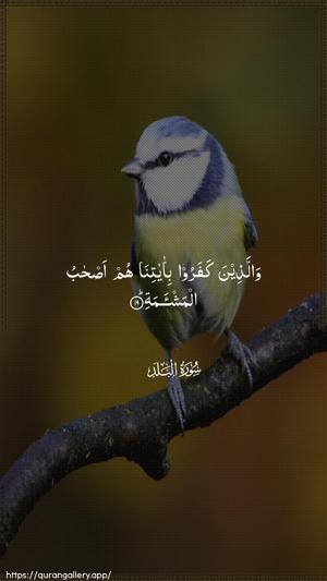Al-Balad Ayah 19 - Arabic wallpaper