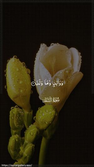 Al-Balad Ayah 3 - Arabic wallpaper