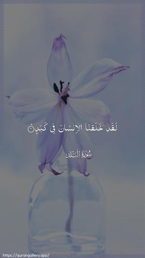 Al-Balad Ayah 4 - Arabic wallpaper