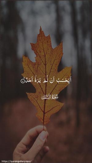 Al-Balad Ayah 7 - Arabic wallpaper