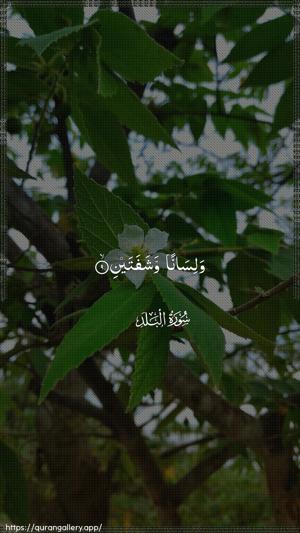 Al-Balad Ayah 9 - Arabic wallpaper