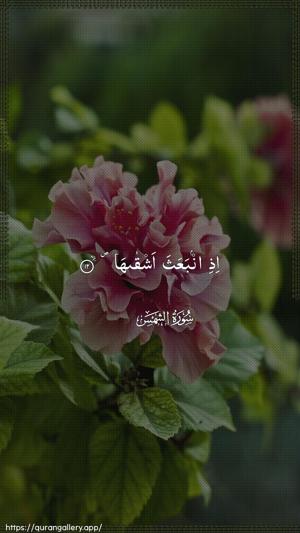 Ash-Shams Ayah 12 - Arabic wallpaper