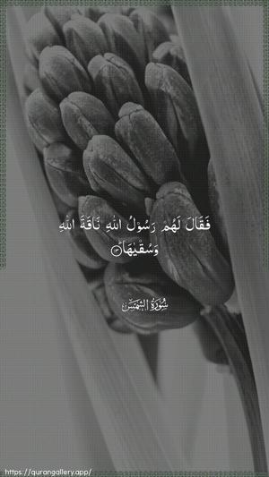 Ash-Shams Ayah 13 - Arabic wallpaper