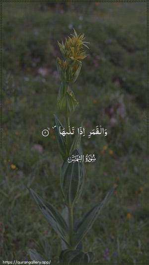 Ash-Shams Ayah 2 - Arabic wallpaper