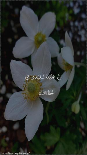 Al-Lail Ayah 12 - Arabic wallpaper