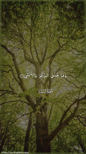 Al-Lail Ayah 3 - Arabic wallpaper