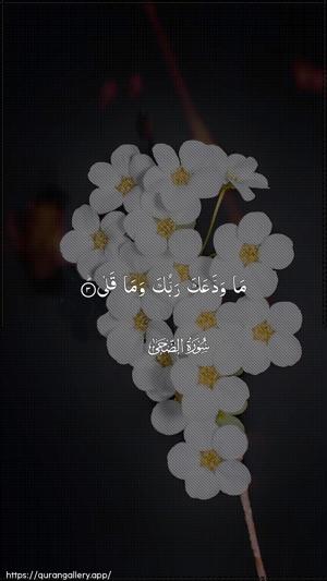 Ad-Dhuhaa Ayah 3 - Arabic wallpaper