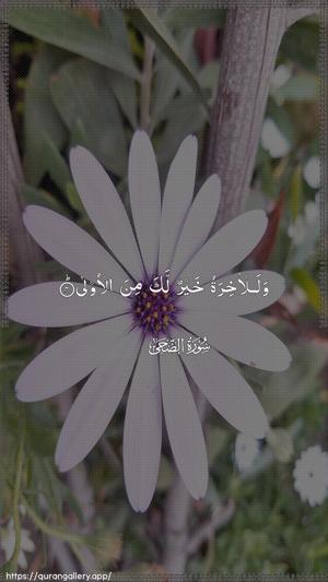 Ad-Dhuhaa Ayah 4 - Arabic wallpaper