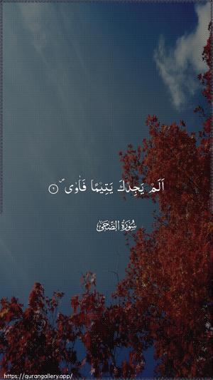 Ad-Dhuhaa Ayah 6 - Arabic wallpaper